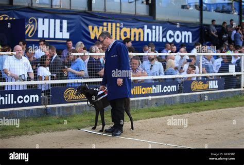 william hill greyhound racing|william hill dogs results.
